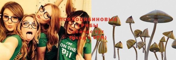 ПСИЛОЦИБИНОВЫЕ ГРИБЫ Верея