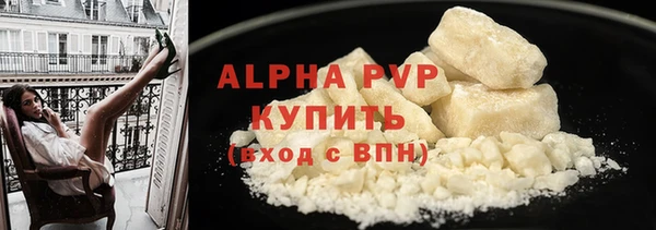 ПСИЛОЦИБИНОВЫЕ ГРИБЫ Верея