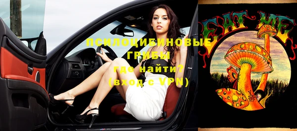 ПСИЛОЦИБИНОВЫЕ ГРИБЫ Верея