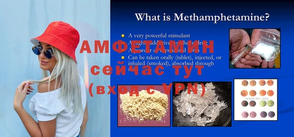 ПСИЛОЦИБИНОВЫЕ ГРИБЫ Верея